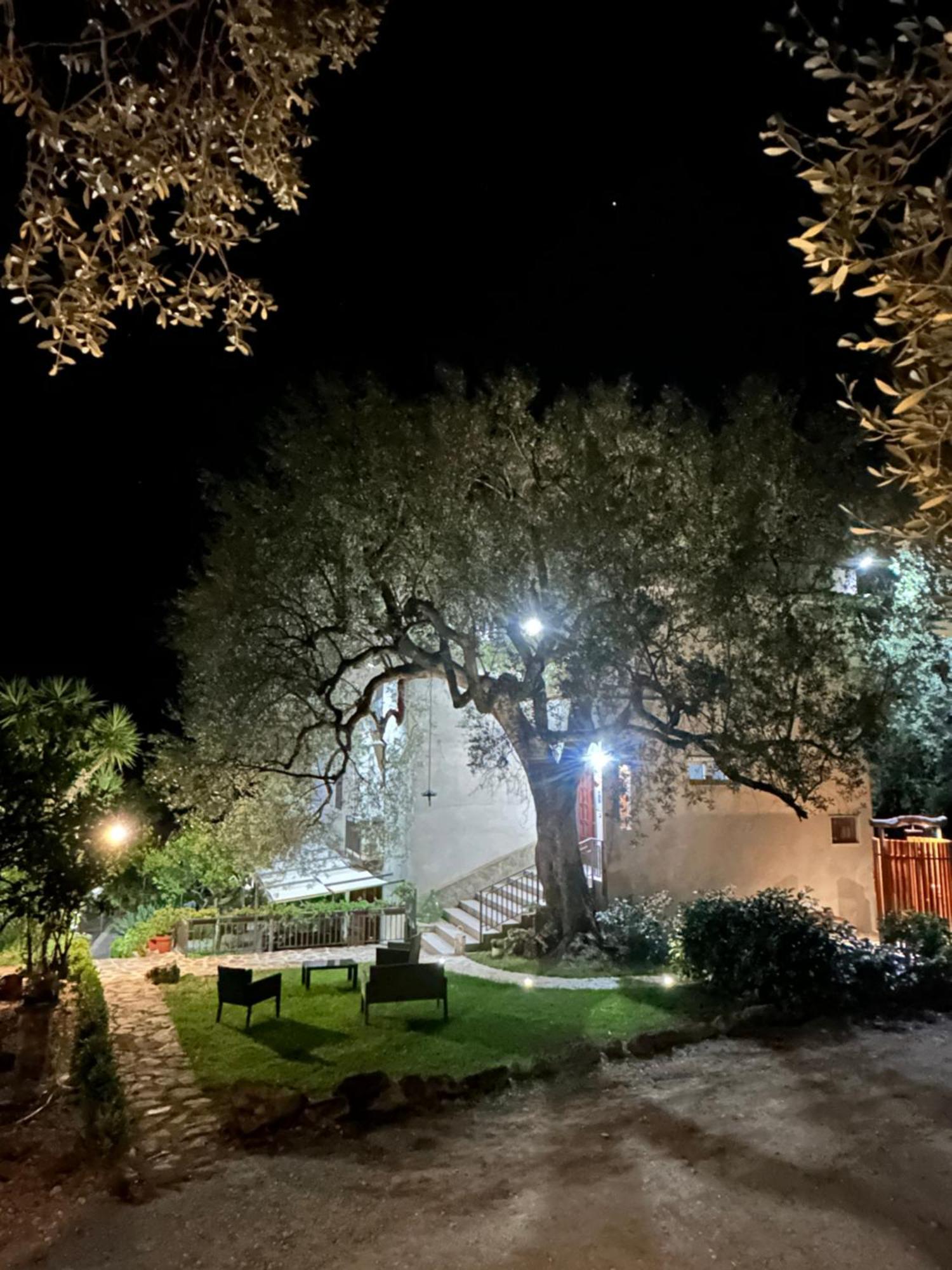 La Casa Del Maestro Attico Pisciotta