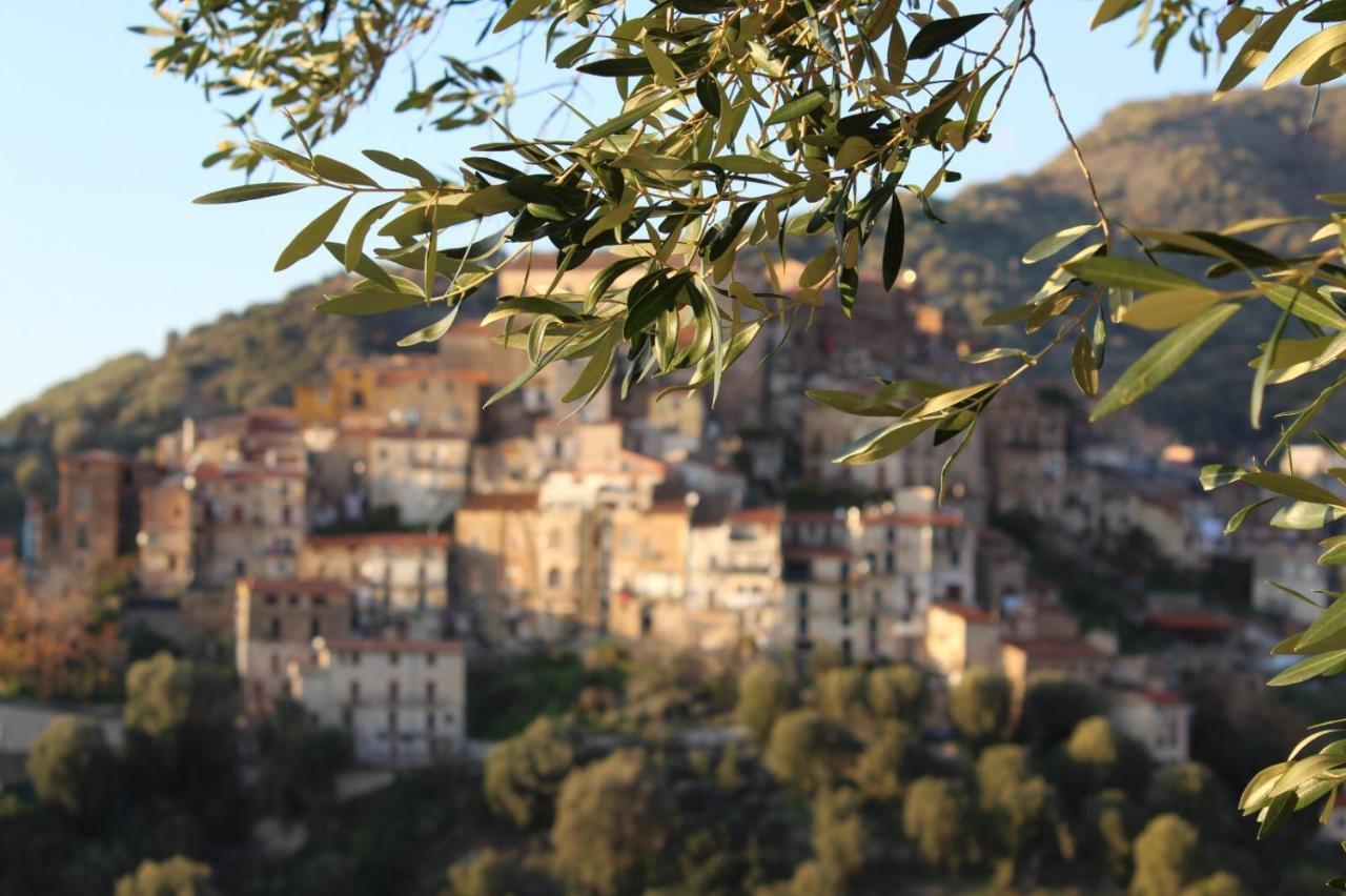 Apartment La Casa Del Maestro Attico Pisciotta